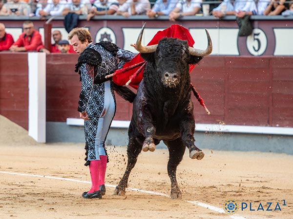 Al final de la faena