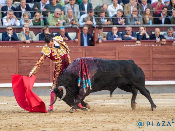 Pinceladas de buen toreo