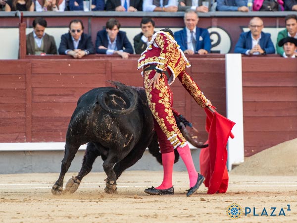 Templando al ejemplar