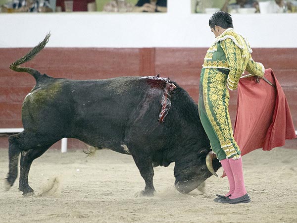 Adornos en el eplogo