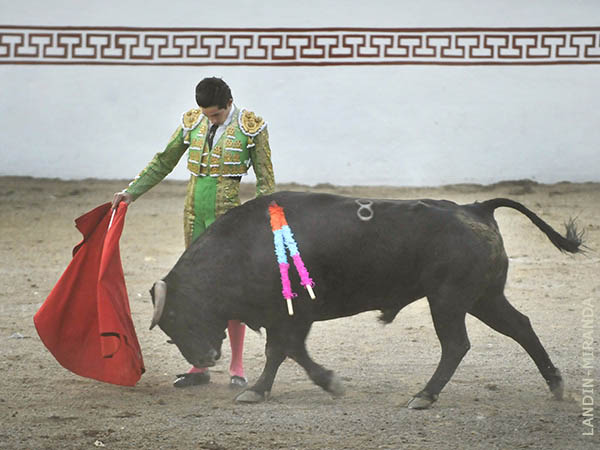 Emotividad y nobleza en conjunto