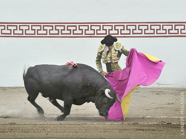 Robleo a la vernica