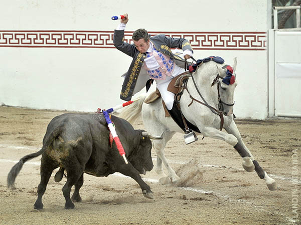 Banderilla corta