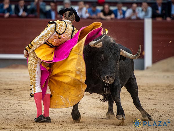 Lucieron toros y matadores