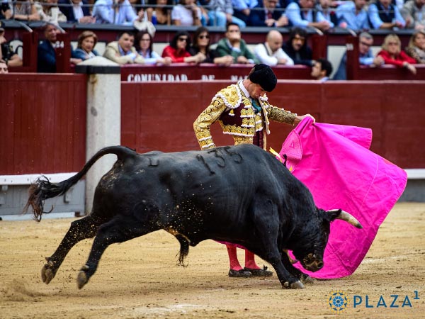 Vernicas en el tercio