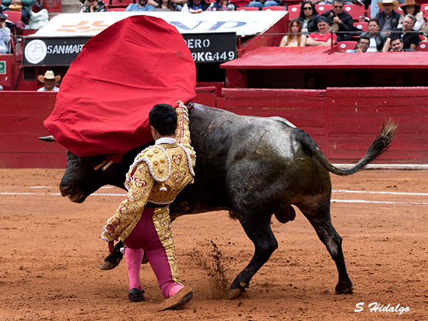 Remate de hinojos