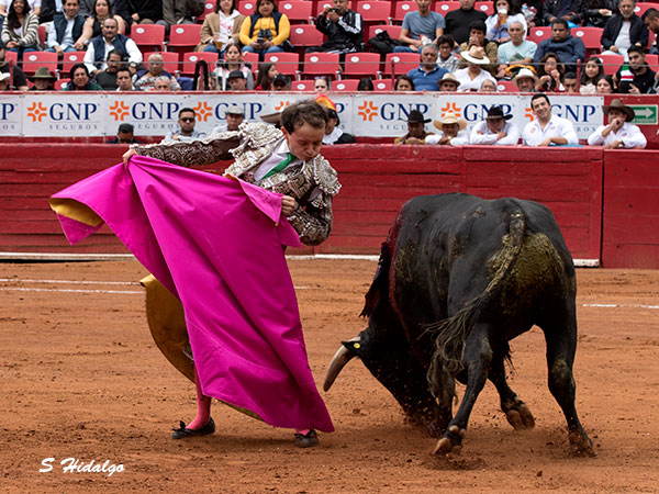 Esquivando la embestida