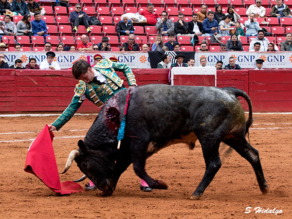 El tapato y la largueza de su trazo