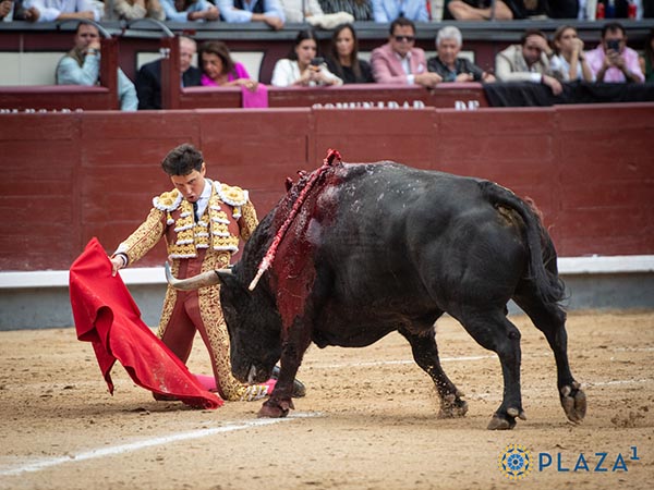 De hinojos en el tercio