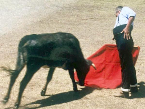 Muleta centrada a la embestida