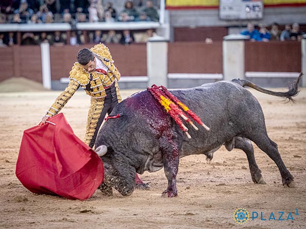 Entonado por el derecho