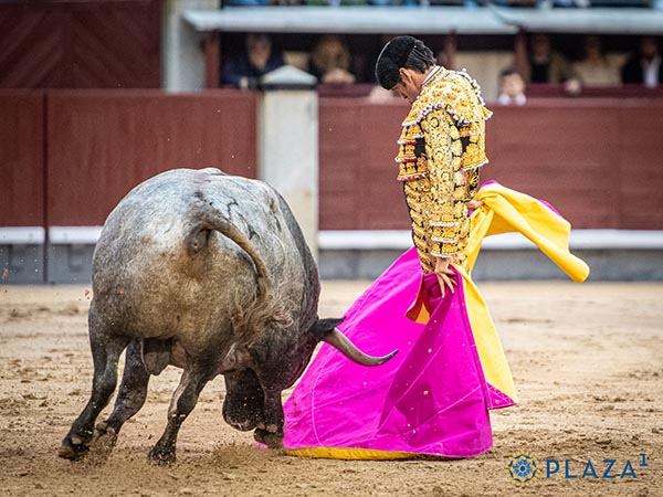 Desmayando el percal