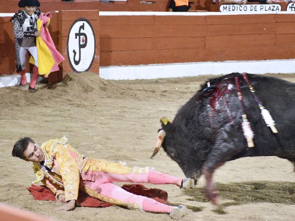 Buscando al torero