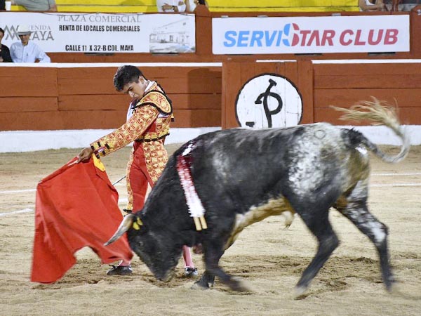 Torero de casa