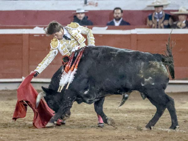 Metiendo la cara abajo