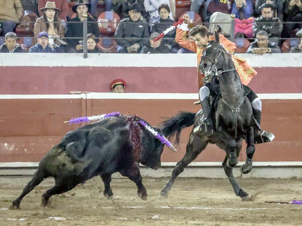 Valientes, jaca y caballista