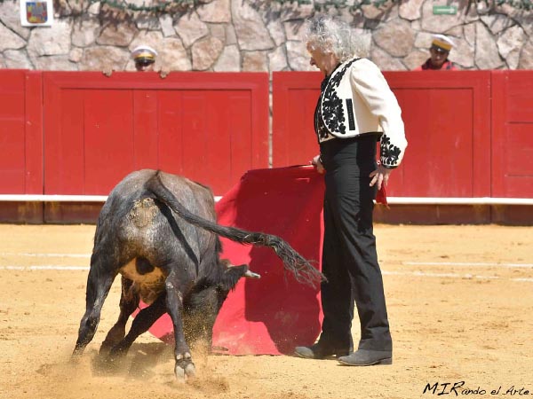 Vertical en las tandas de muleta