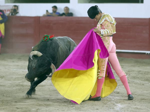 Recibo por vernicas