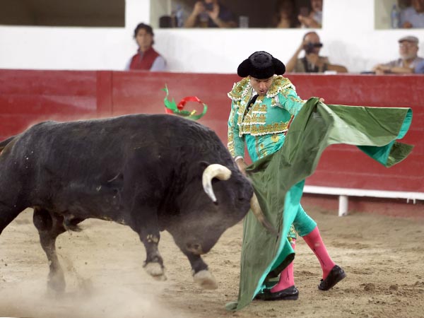 Abre el festejo en tonos de verde