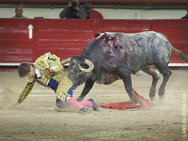 Prendido de la casaca