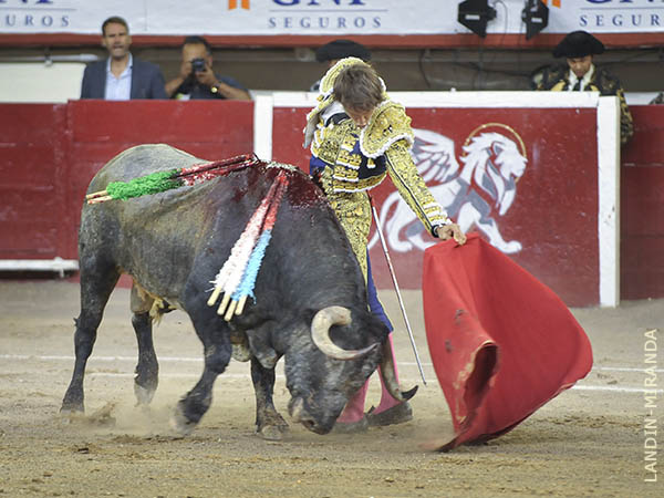 Jaleado en las tandas de naturales