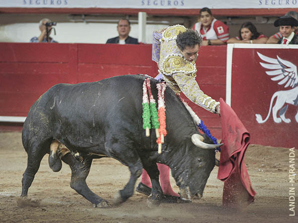 Transmisin y fondo del ejemplar