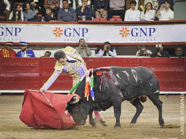 Toro y torero conjugados