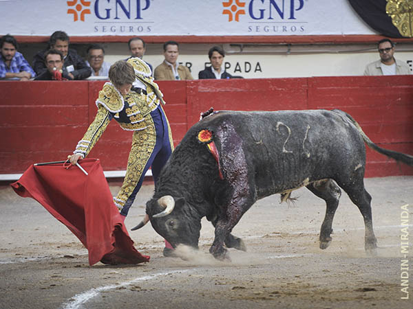 Voluntad de agradar