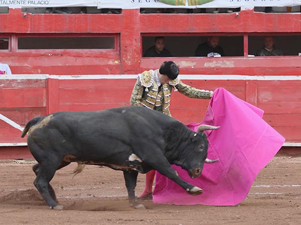 Saludo a la vernica