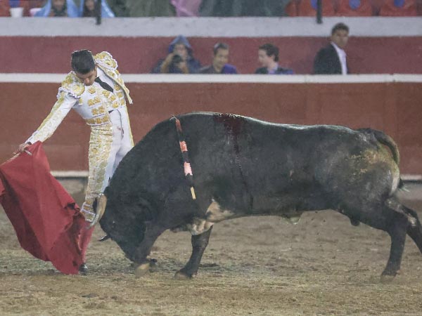 Templando al crdeno