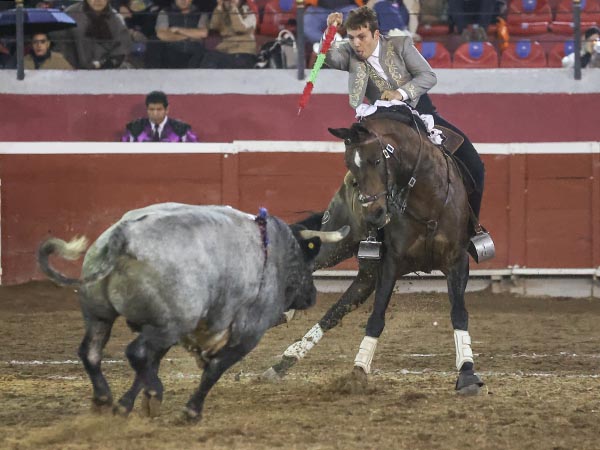 En la cara del ejemplar