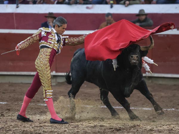 Barriendo los lomos