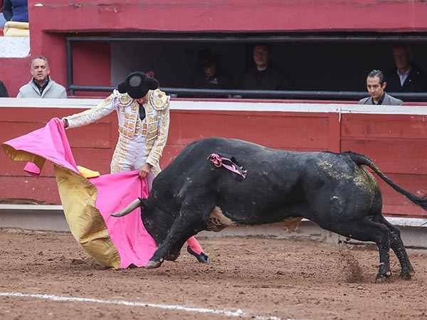 Saludo al hilo de las tablas