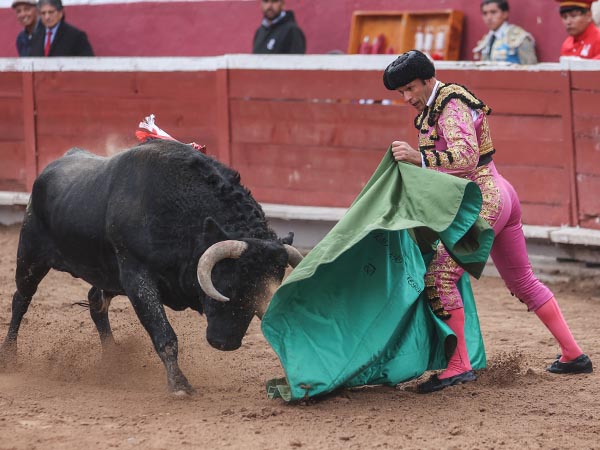 Ferrera debut en Pachuca