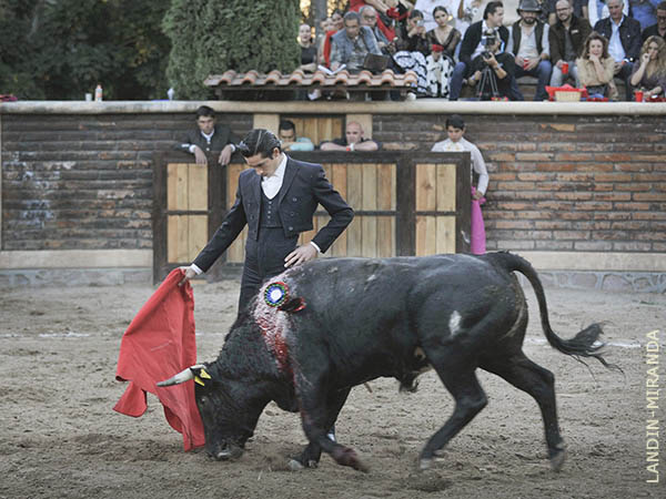 Torero reposo