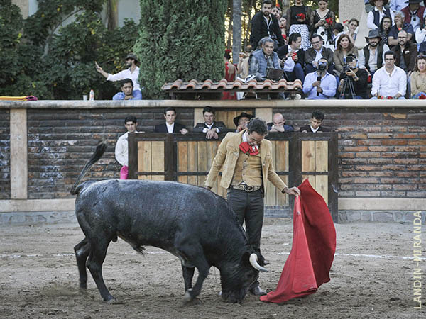 Con las yemas de los dedos