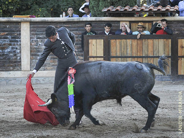 El toreo clsico de muleta