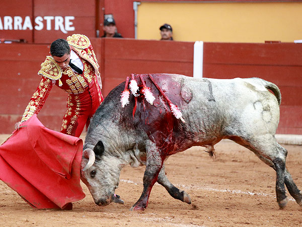 Faena de entrega con su primero