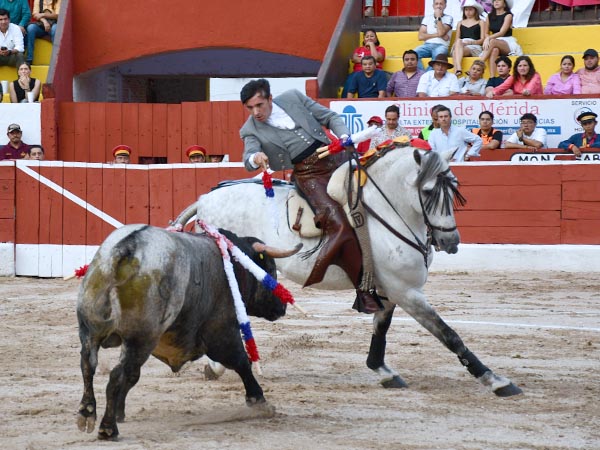 Banderilla corta