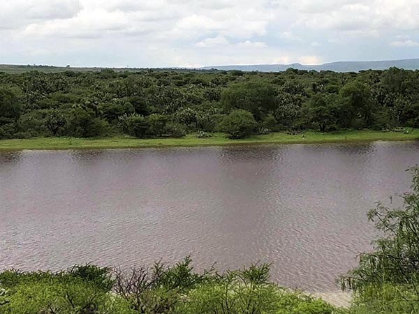 La bendicin del agua en los potreros