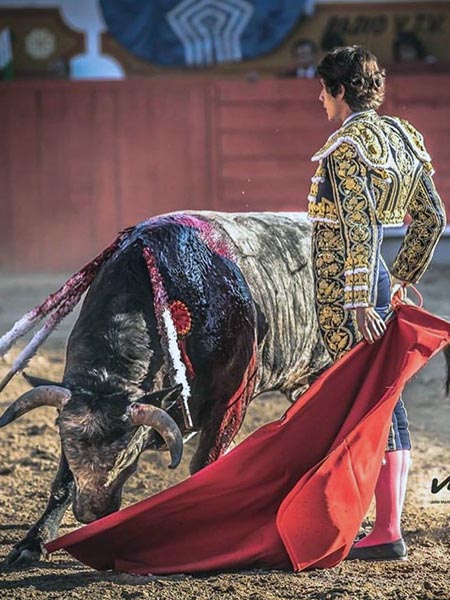 Un crdeno para Sebastin Castella