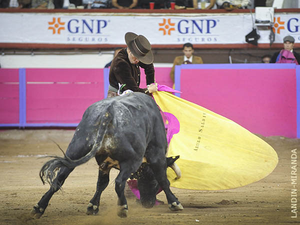 Saldvar, ovacionado en los lances