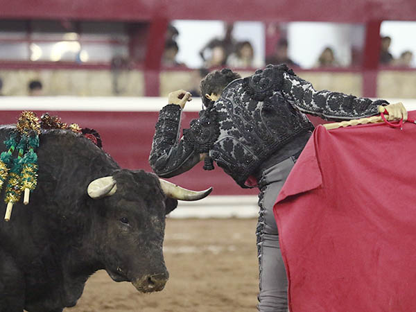 Desplante torero