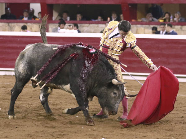 Mano izquierda con determinacin