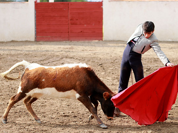 Largo y asentado