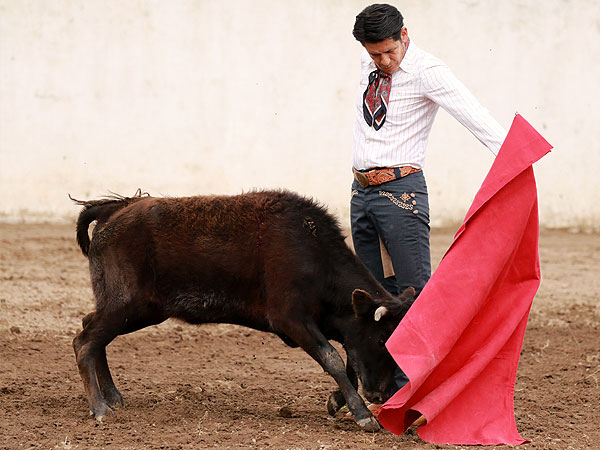 Variada Tauromaquia