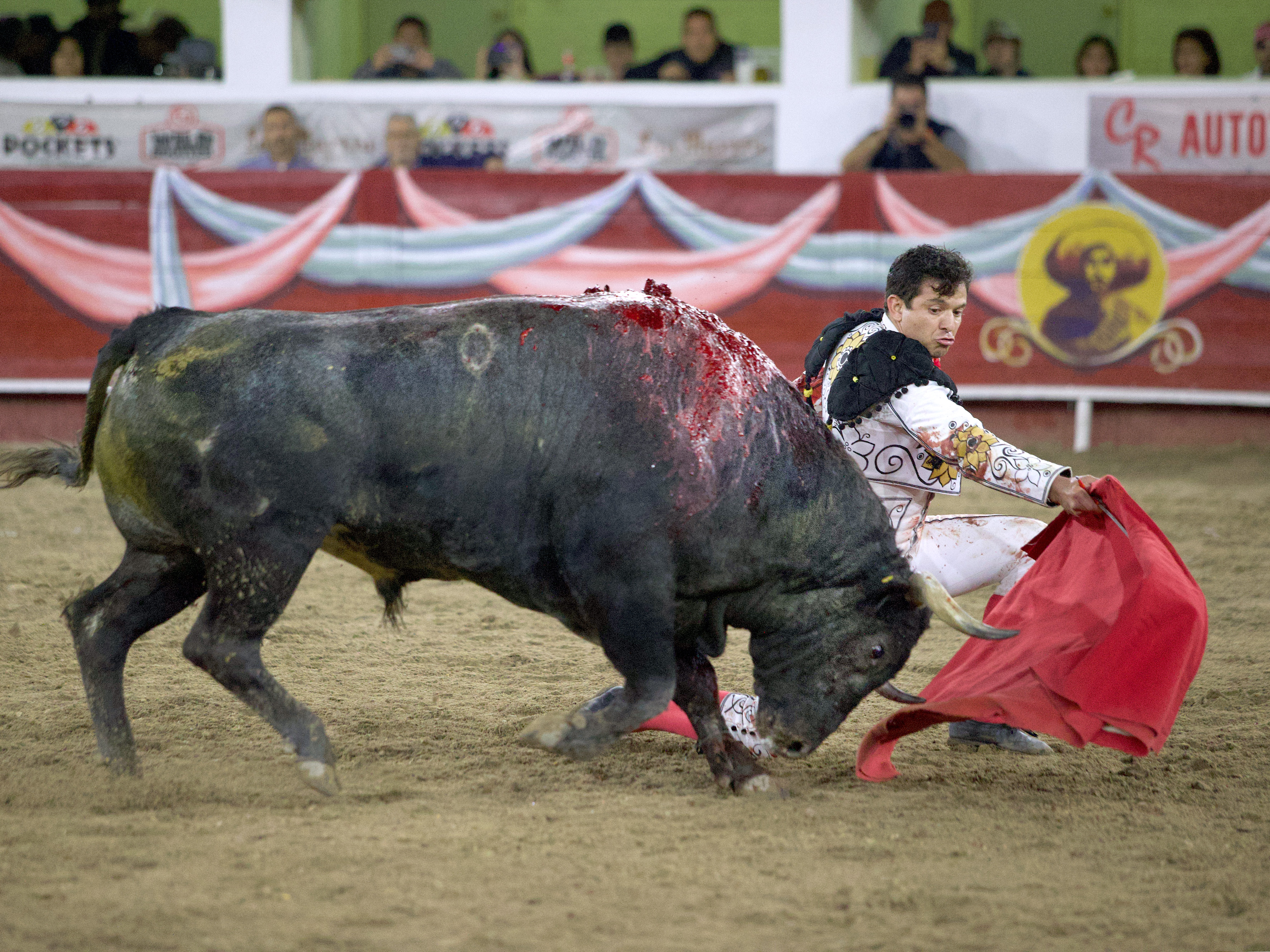 Remate rodilla en tierra