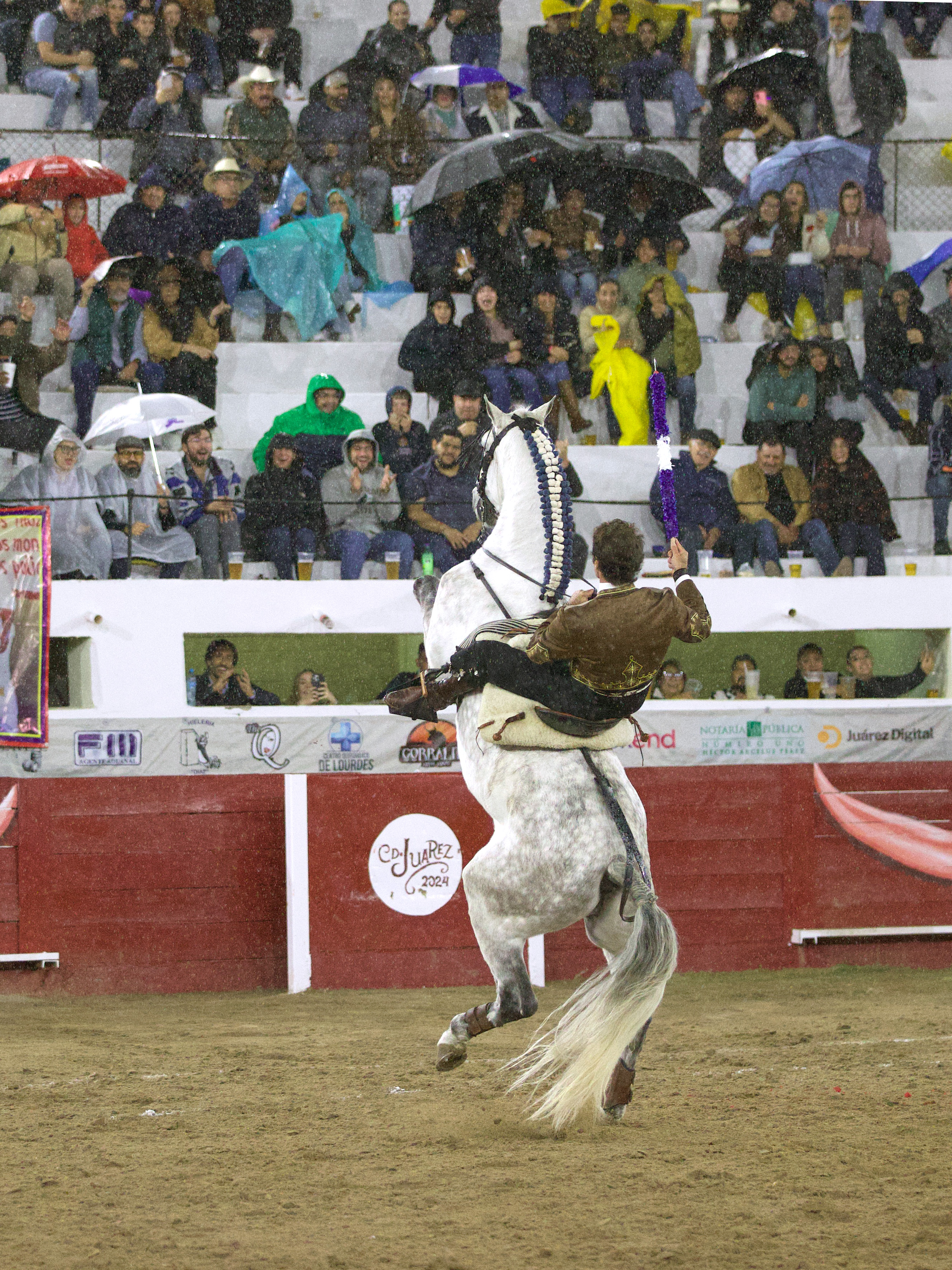 La alzada del rodado