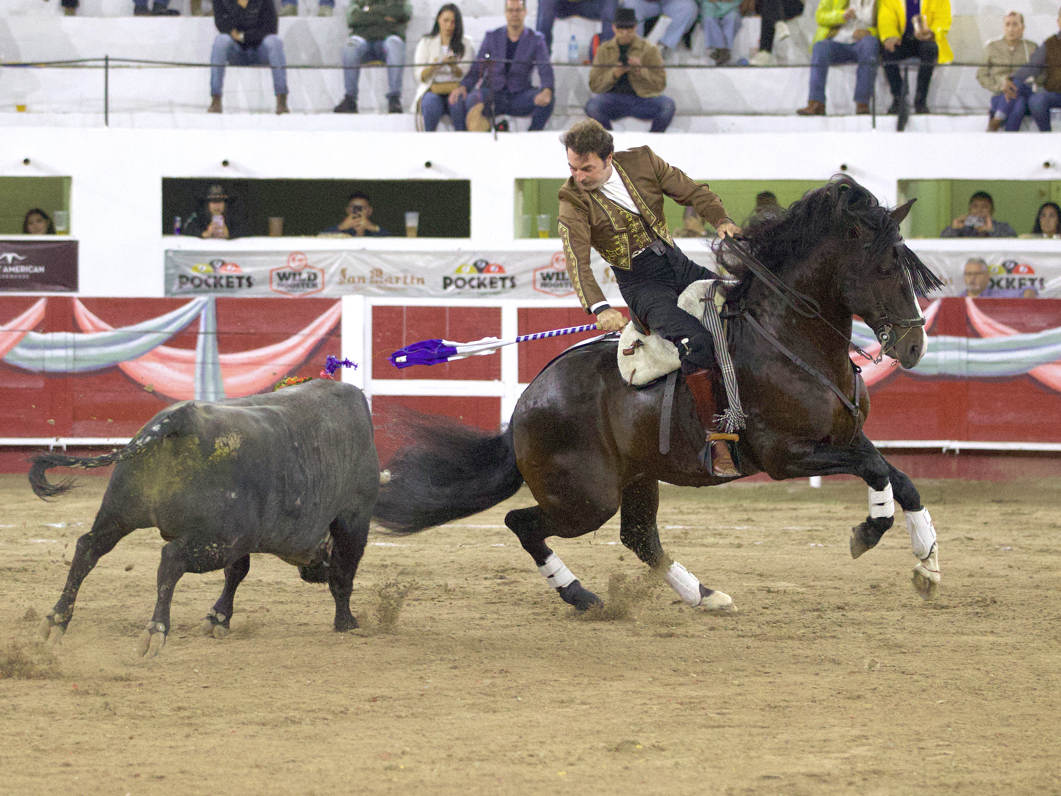 El rejn en el morrillo