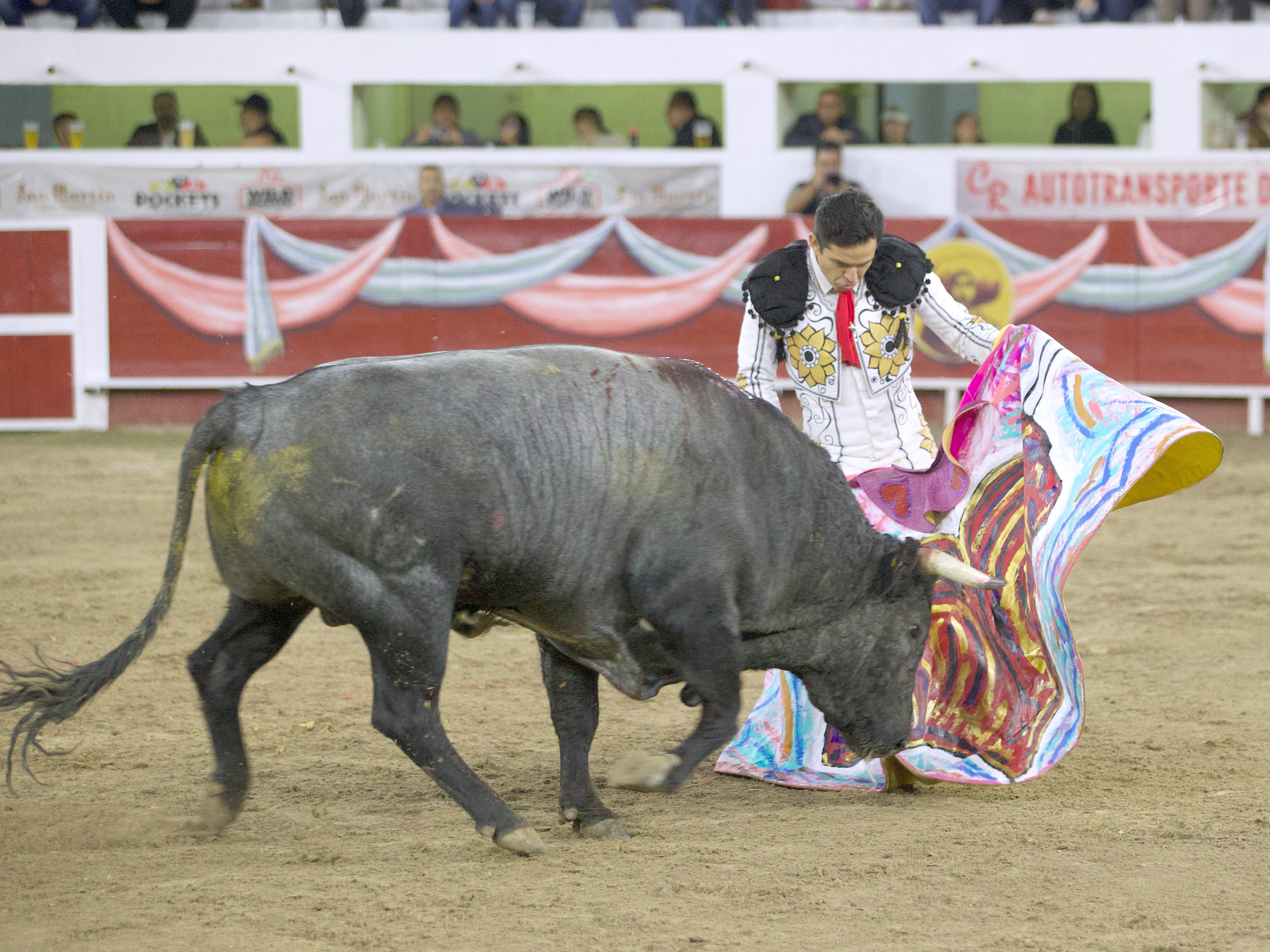 El Chihuahua se qued con cuatro toros